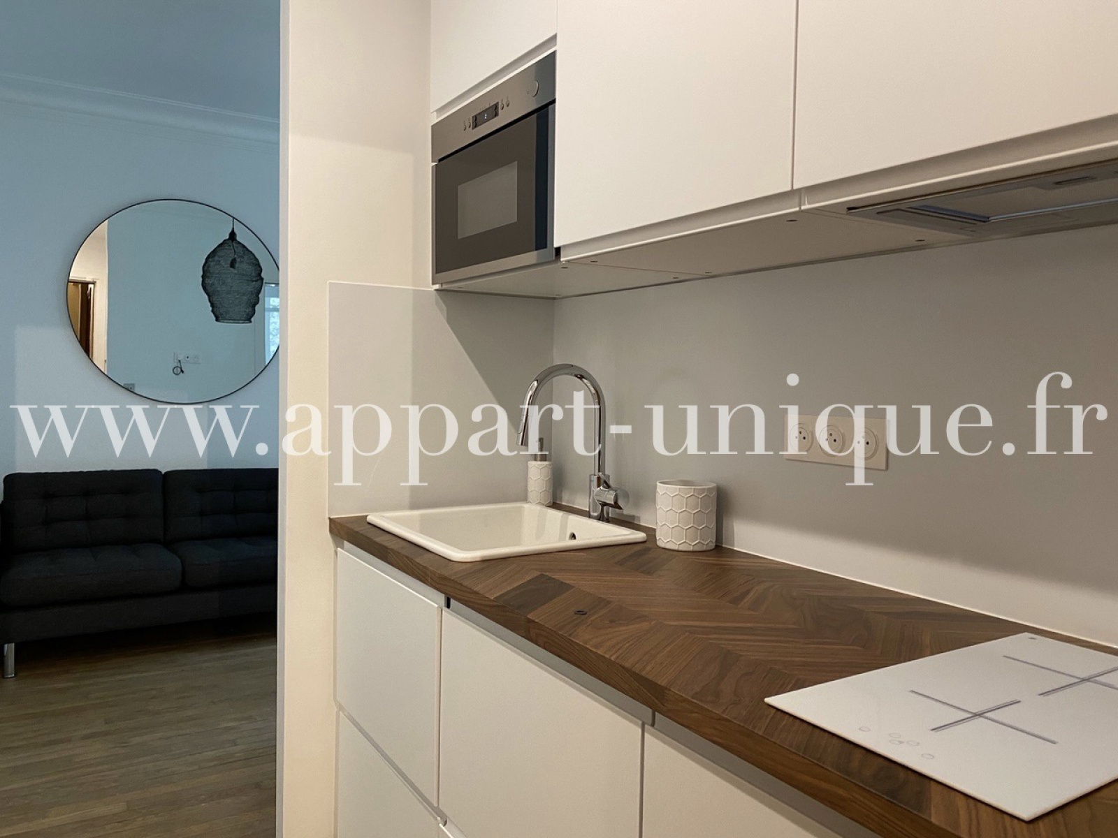 Image_, Appartement, Paris, ref :552