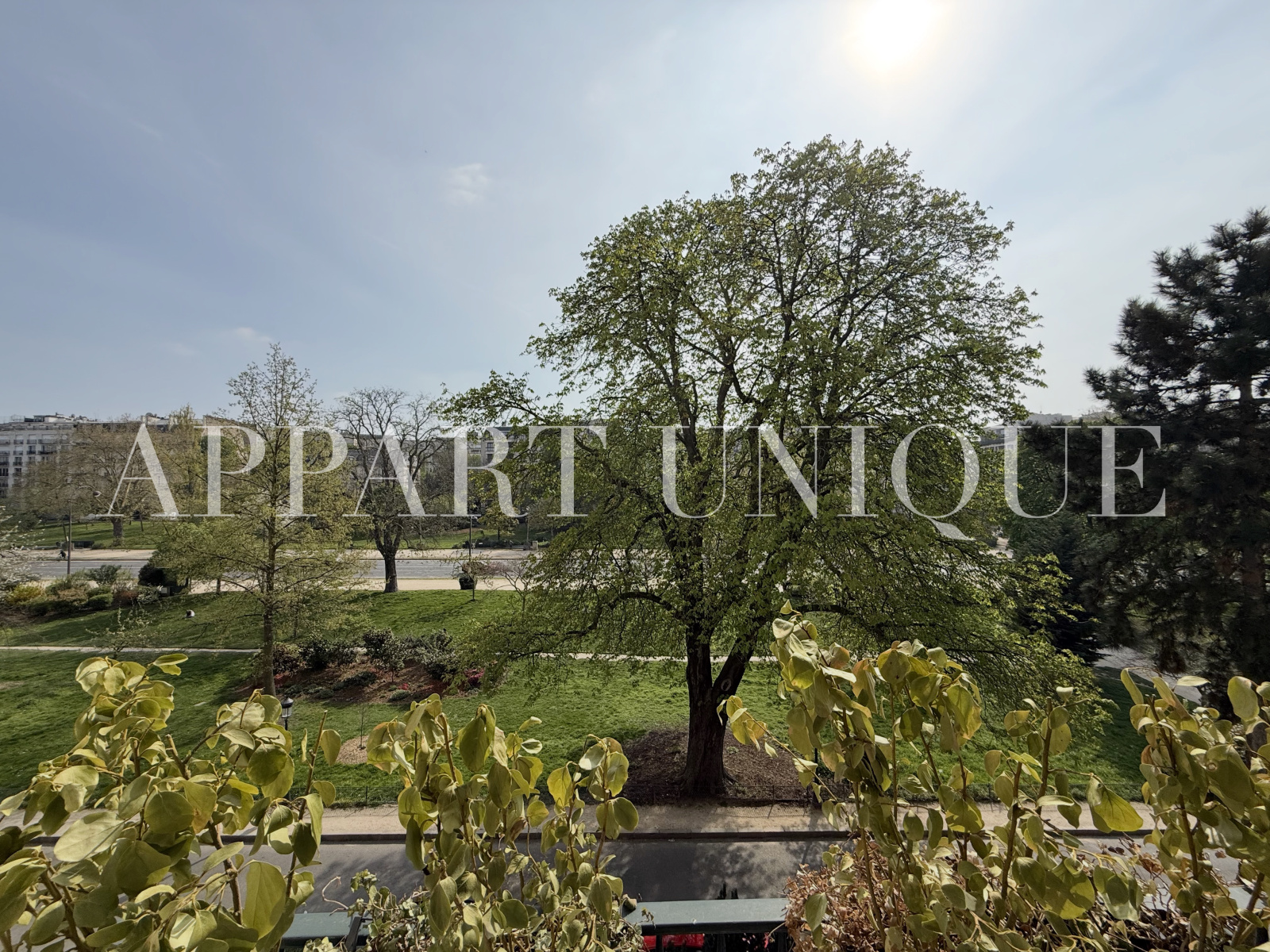 Image_, Appartement, Paris, ref :2026-710