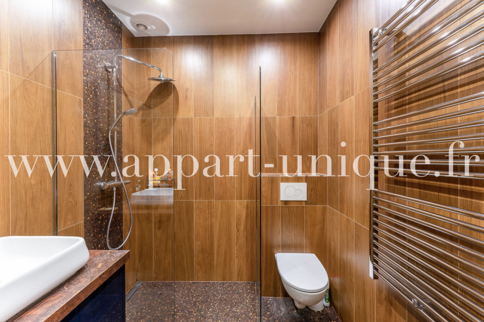 Image_, Local commercial, Paris, ref :672 c