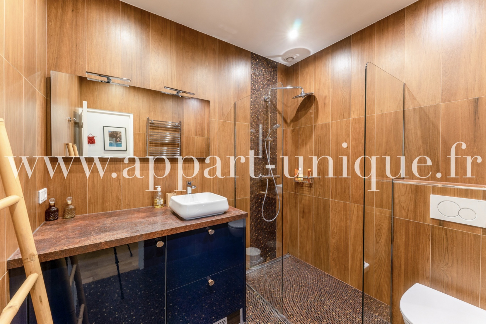 Image_, Local commercial, Paris, ref :672 c